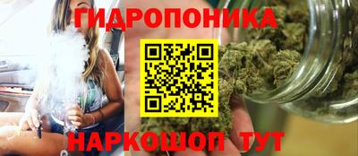 шишки Ликино-Дулёво