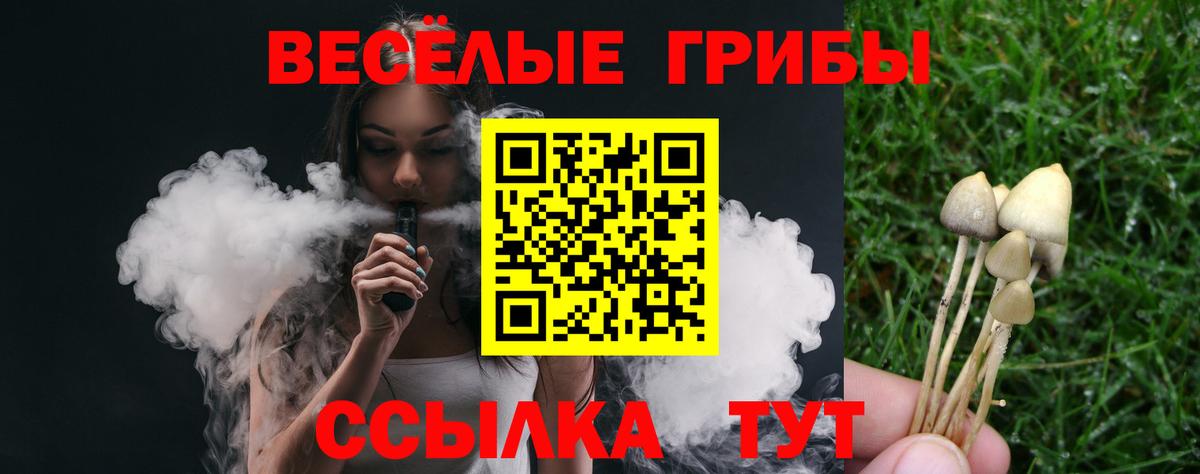 Псилоцибиновые грибы GOLDEN TEACHER  Галлюциногенные грибы MAGIC MUSHROOMS  Дербент  Вход с VPN 
